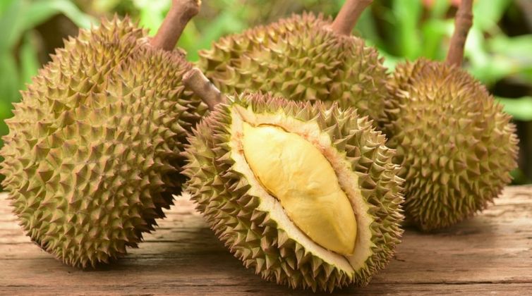 Kulit Durian
